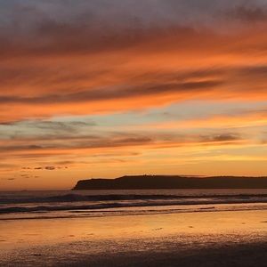 Meet your Posher, Calvin